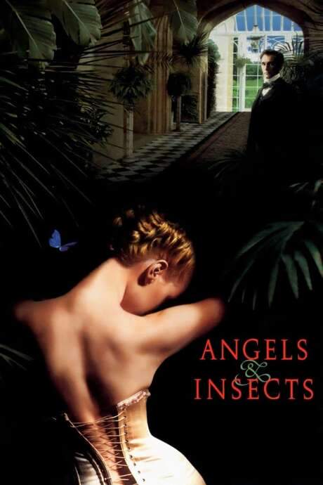 Angels and Insects